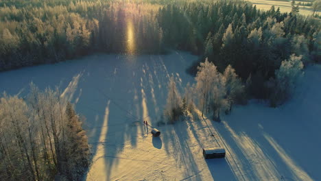 Inclinación-Aérea-Hacia-Abajo-Del-Día-De-Invierno-Nevado-En-El-Bosque-Durante-La-Nevada-Lenta-En-El-Rayo-De-Sol-Al-Atardecer