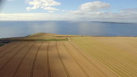 Drone-footage-of-golden-fields-