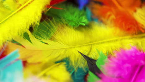 Rotating-pile-of-soft-feathers-gently-blowing-in-the-wind