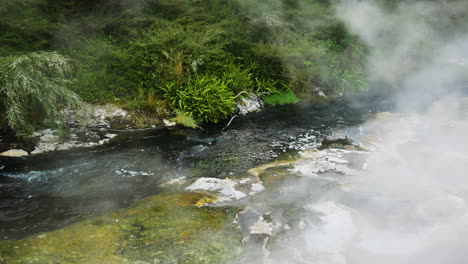 vapor denso del río geotérmico que se eleva hasta el cielo - minerales geotérmicos en la naturaleza de nueva zelanda