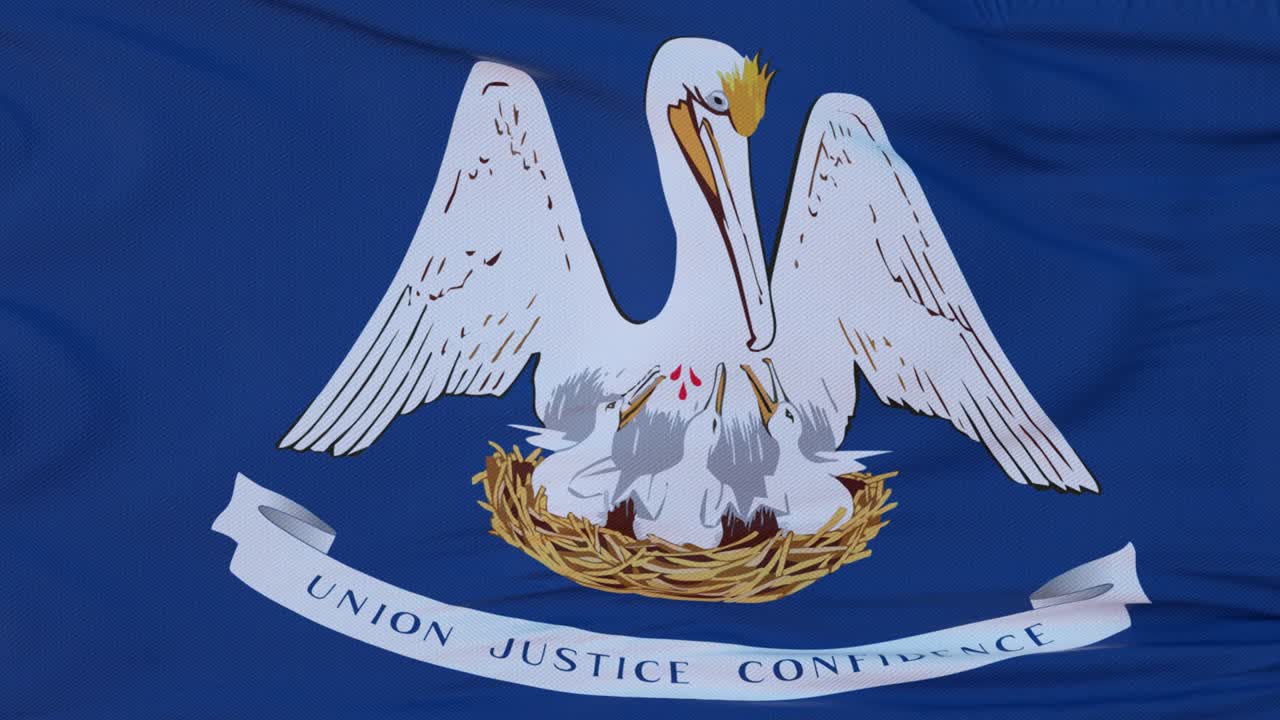 bandera del estado de luisiana, región de los estados unidos, ondeando al viento