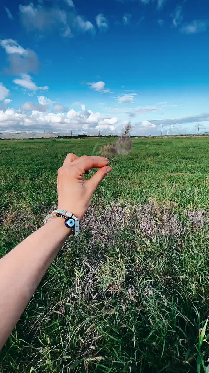 Hand holding grass in a field with windmills and a beautiful sky
