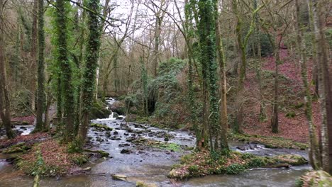 Tiro-Volador-Sobre-Una-Cascada-En-Un-Bosque-En-Normandía