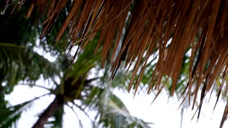 Close-up-of-raindrops-falling-from-thatched-roof-hut-on-a-remote-tropical-island-destination-during-monsoon-season-on-wet,-rainy-day-in-the-tropics