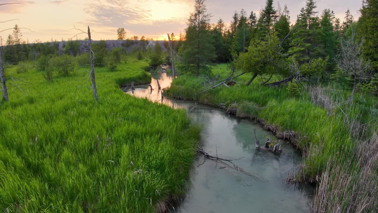 Aerial drone view of a winding stream cutting through lush green marshland and forest at sunset