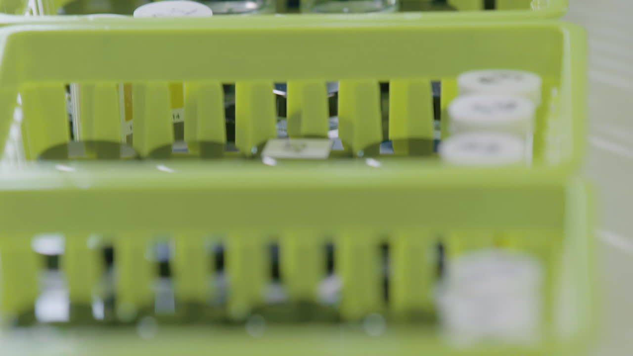 Test tubes are stored in laboratory racks. Tilt and rack focus shot.