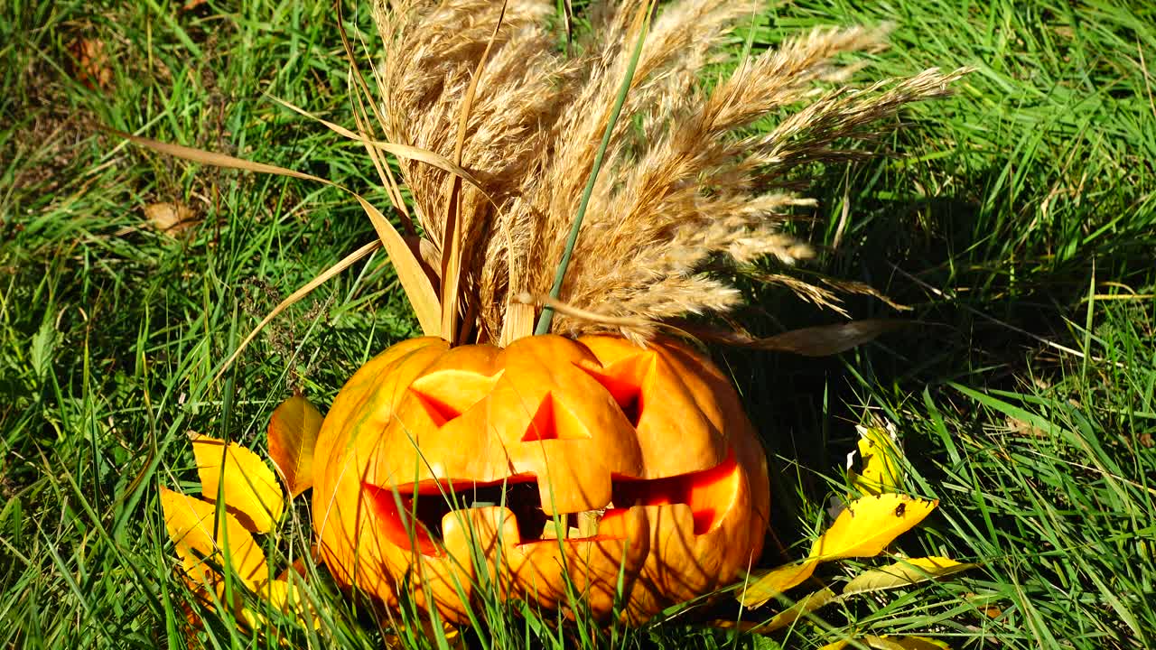 Calabaza espeluznante de Halloween. Rodaje en octubre.