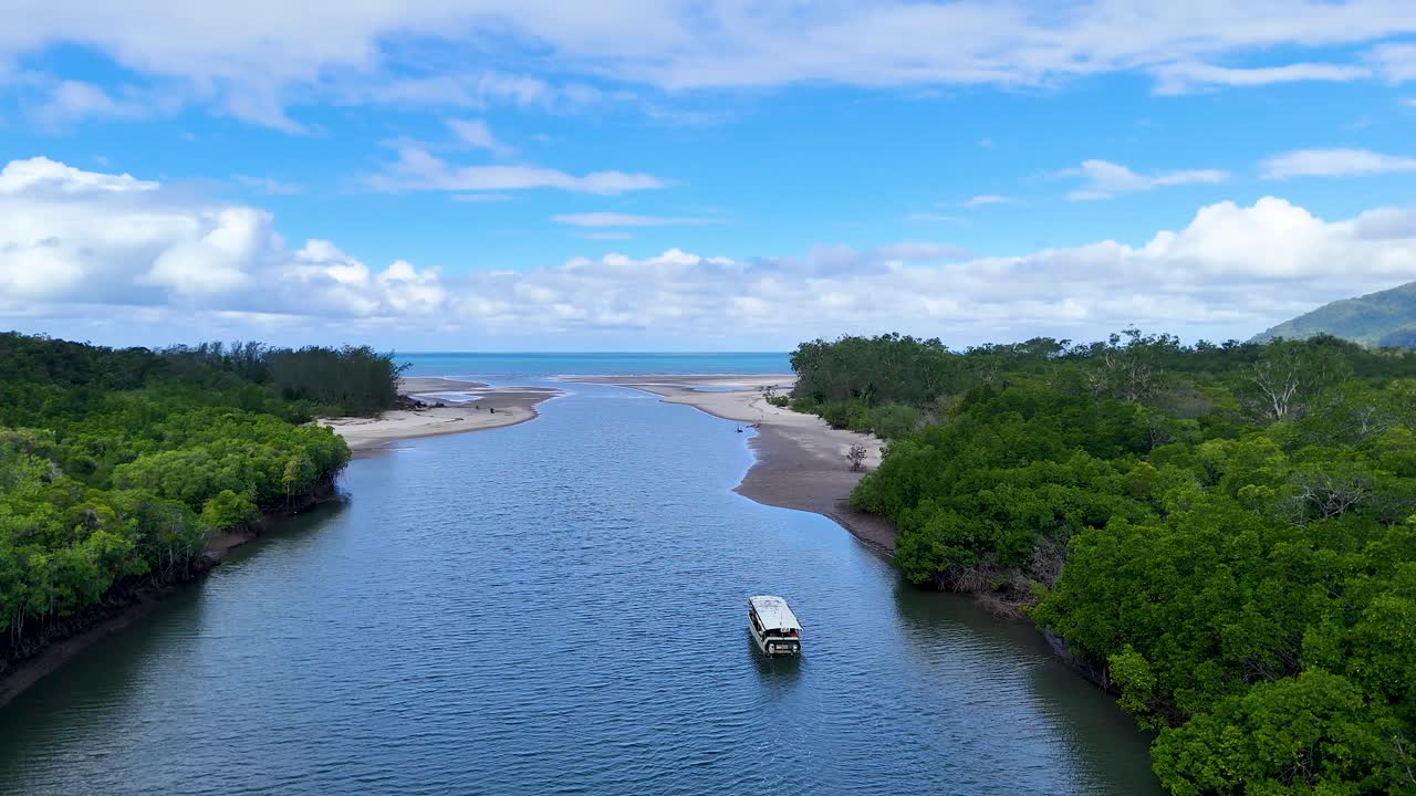 Aerial view of tour boat moving along river, lush mangroves, bright daylight, steady camera