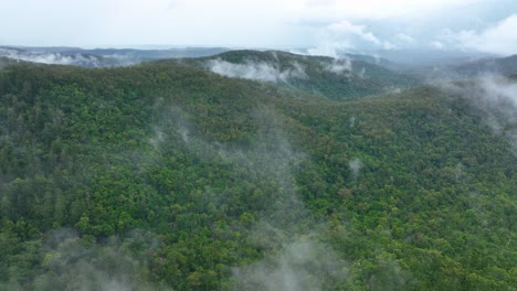 drone flying through the mist over a stunning queensland rain forest