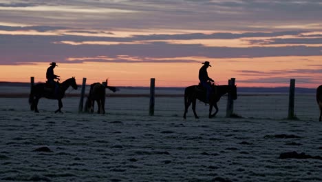 cowboys on horses at sunrise/sunset