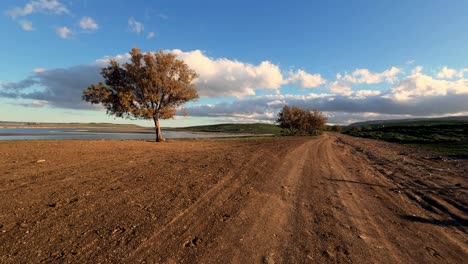 Pasear-Por-Un-Paisaje-Natural-Con-Una-Superficie-De-Agua-Distante,-Pasar-Junto-A-Un-árbol-Solitario-Iluminado-Por-El-Suave-Resplandor-De-La-Luz-Del-Sol-En-ángulo-Bajo,-Encarnando-El-Concepto-De-Naturaleza-Intacta