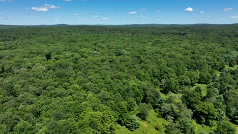 An-aerial-view-of-the-beautiful-green-forests-of-northern-Pennsylvania-in-the-Appalachian-foothills