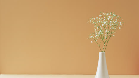 Vídeo-De-Flores-Blancas-En-Jarrón-Blanco-Con-Espacio-Para-Copiar-Sobre-Fondo-Amarillo