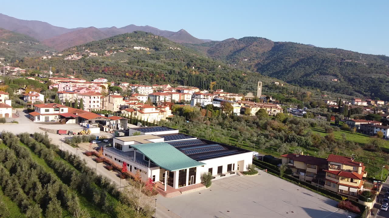 trituradora de té santa producción de aceite de alimentos