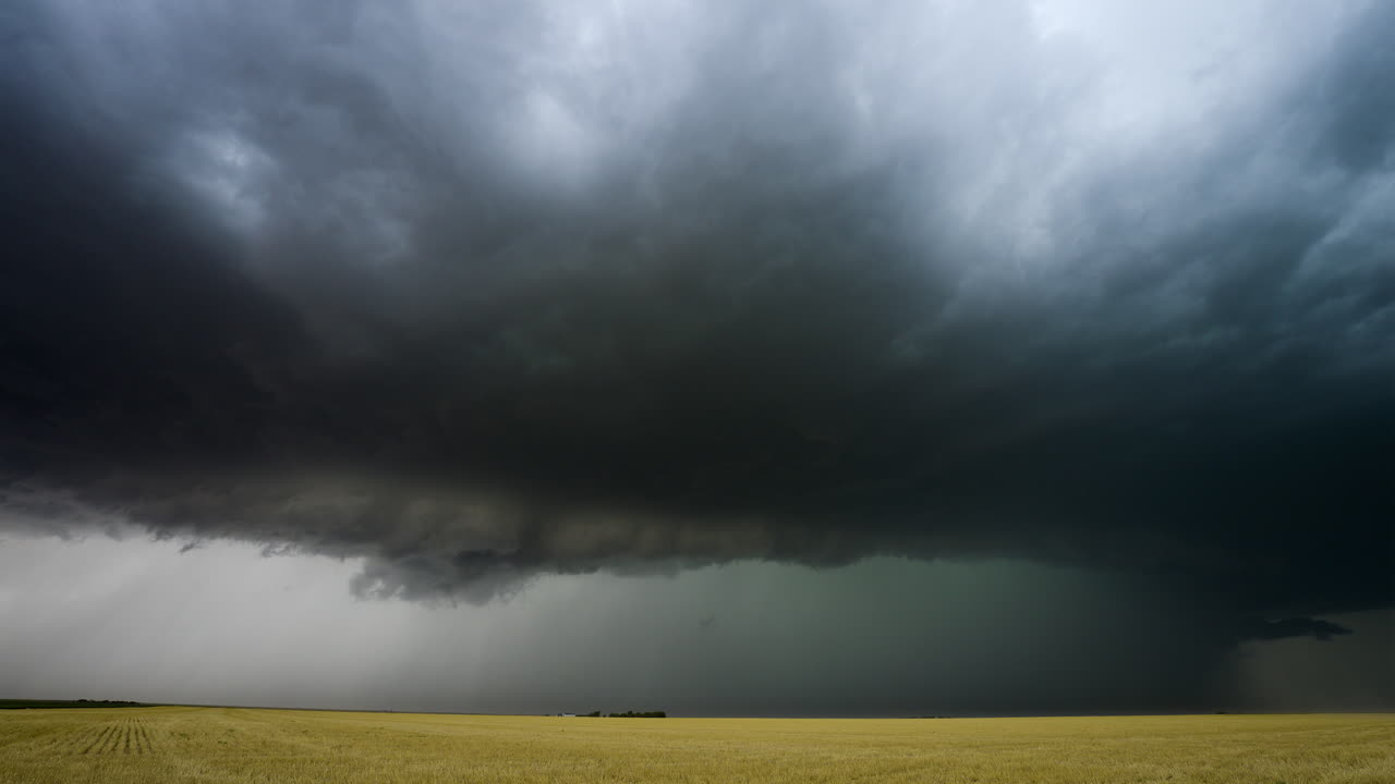 Massive Thunderstorm Over a Wheat Field