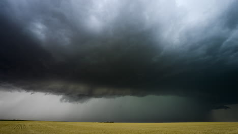 massive thunderstorm over a wheat field