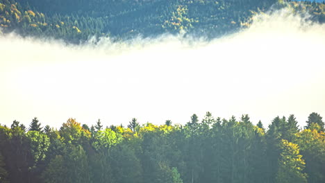 Seidiger-Nebel,-Der-Während-Der-Goldenen-Stunde-über-Dem-Wald-Im-Zeitraffer-Rollt