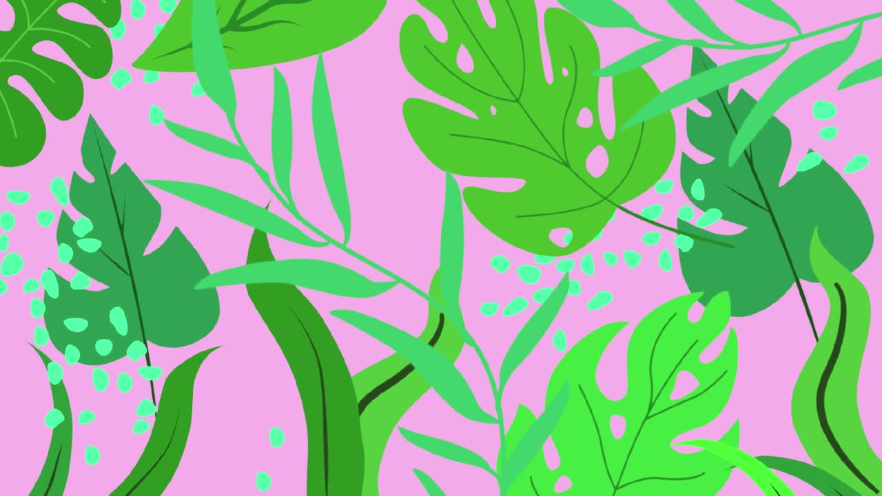 selva naturaleza fondo borroso verde flores bosque selva tropical desenfoque bokeh 4k fondos youtube