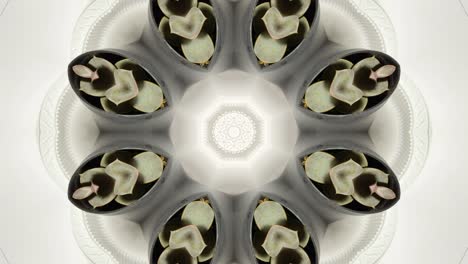 kaleidoscope