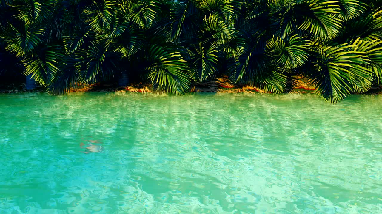 increíble estanque fantástico en la selva. día despejado. palmeras verdes, agua clara, insectos y mariposas. hermoso fondo natural