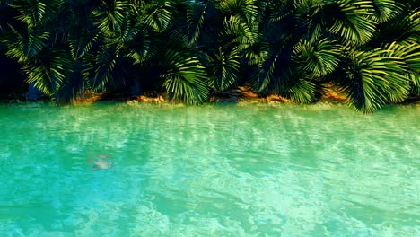 amazing fantastic pond in the jungle. clear day. green palm trees, clear water, insects and butterflies. beautiful natural background