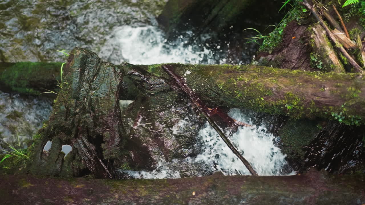 salpicaduras de agua espumosa caen desde el borde de la roca empinada bajo el tronco de musgo en cámara lenta. rápida cascada de arroyo de montaña y árboles caídos en el día de verano