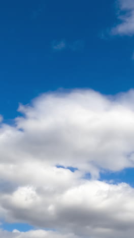 white thick clouds flying quickly by the skies. rainy clouds formation in the atmosphere. low angle view. timelapse. vertical video