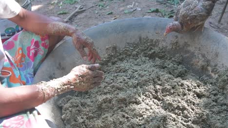 daily life scene in a chicken farm in cambodia