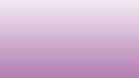 animación de texto natural y tacones altos sobre fondo rosa