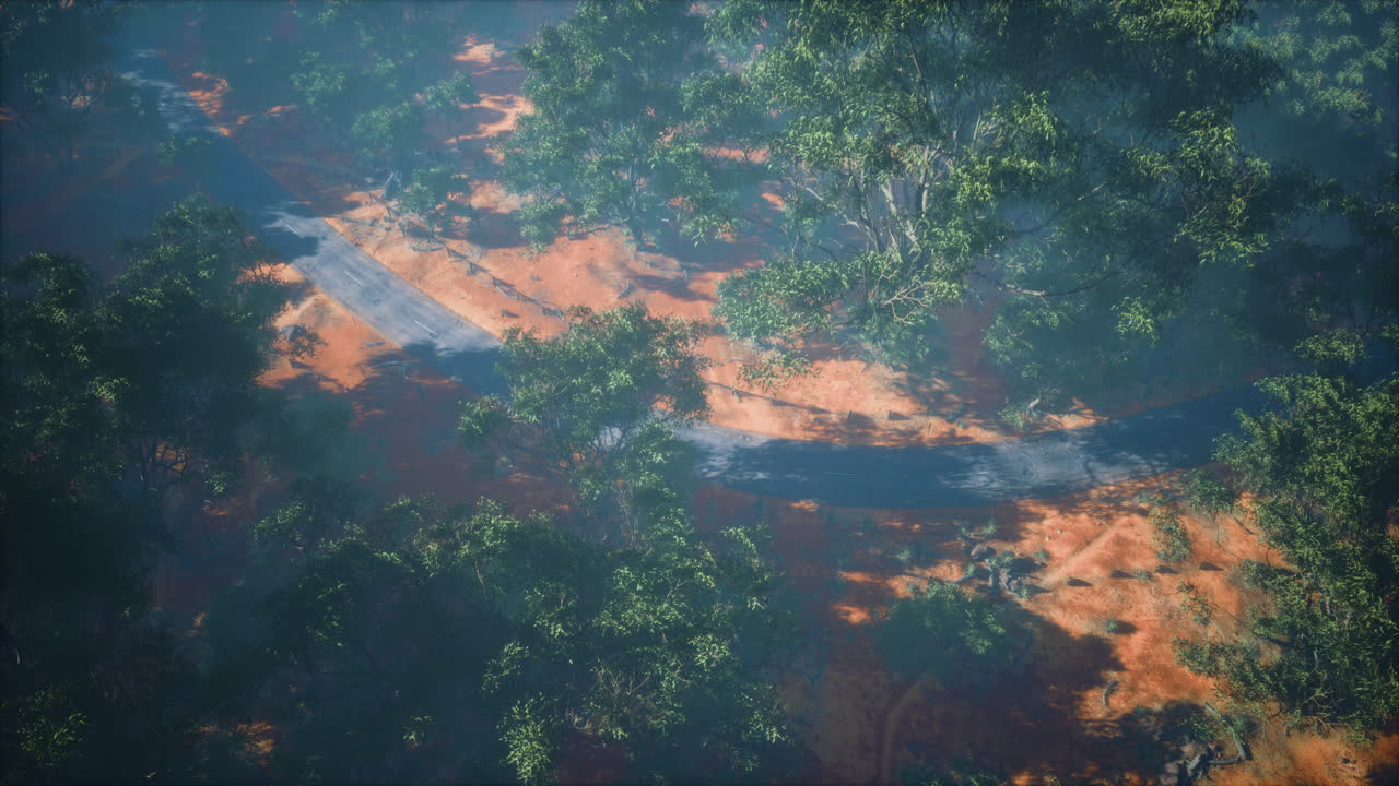 disparo aéreo de la carretera serpenteando a través de árboles verdes