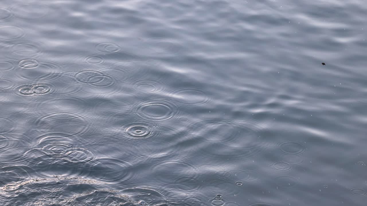 헤이론이 물에서 공중으로 발사됩니다.