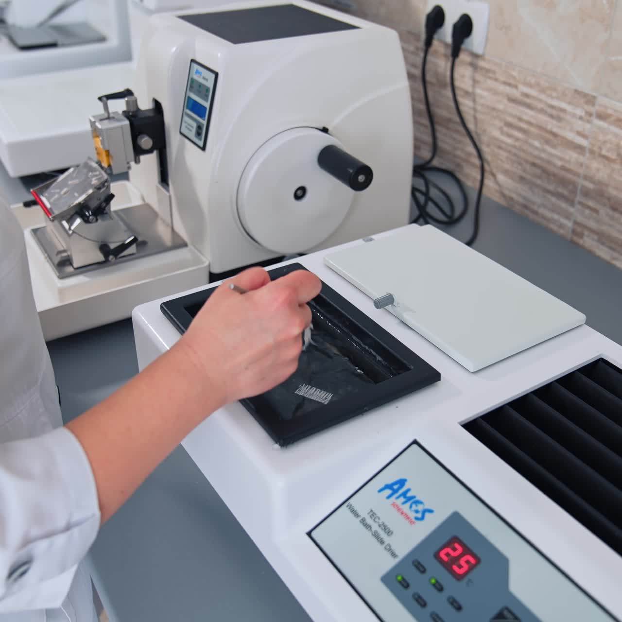 Sample for complete testing. Lab technician drawing samples in the clinical laboratory