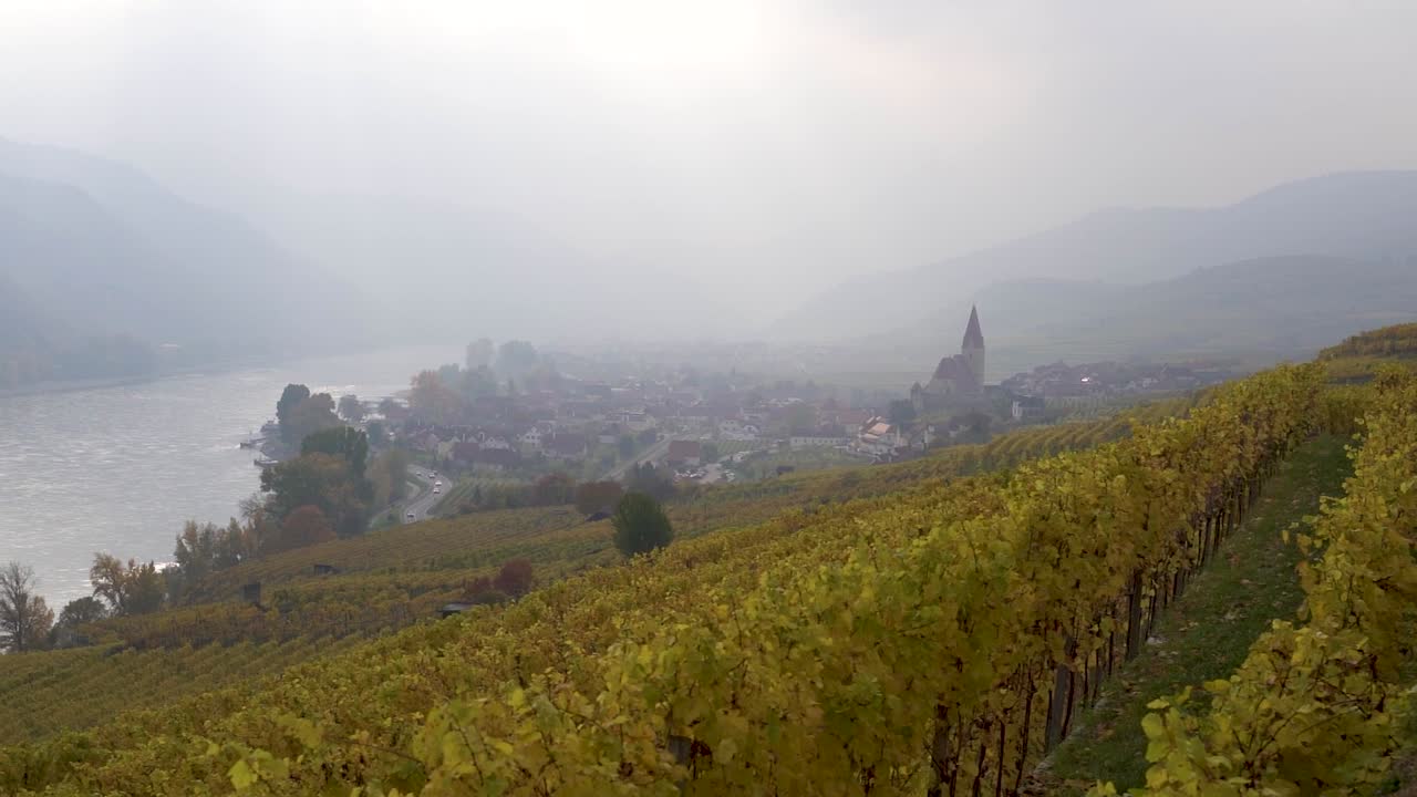 Lenta panoramica su splendidi vigneti e una città nebbiosa con un fiume in lontananza