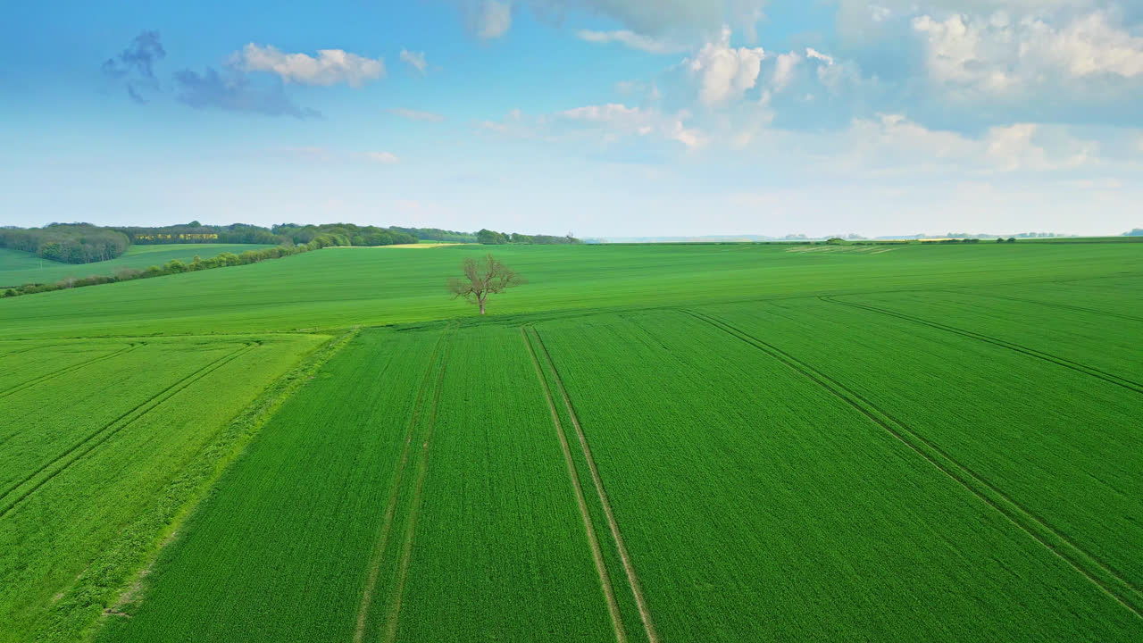 Drone video captures farmland summer crop fields in the Lincolnshire Wolds Hills