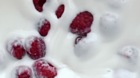 pink raspberry floating dessert closeup. summer berries milk yoghurt breakfast