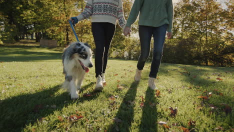 Two-women-walk-the-dog-in-the-park,-walk-along-the-manicured-lawn-at-sunset