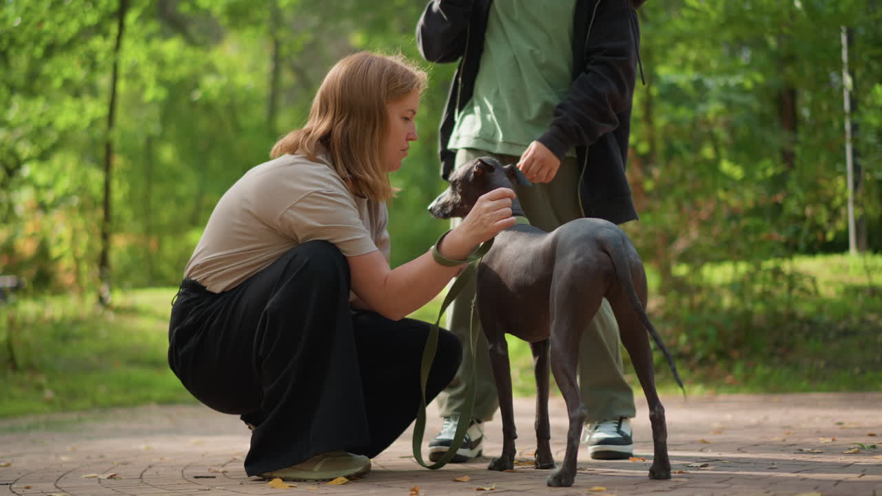 Caucasian Woman Crouching Beside Dog, Leafy Woodland Path, Second Person Holding Leash, Gentle Petting And Reassurance, Sunlight Filtering Through Trees, Adoption Meeting Or Trainer Session, Calm