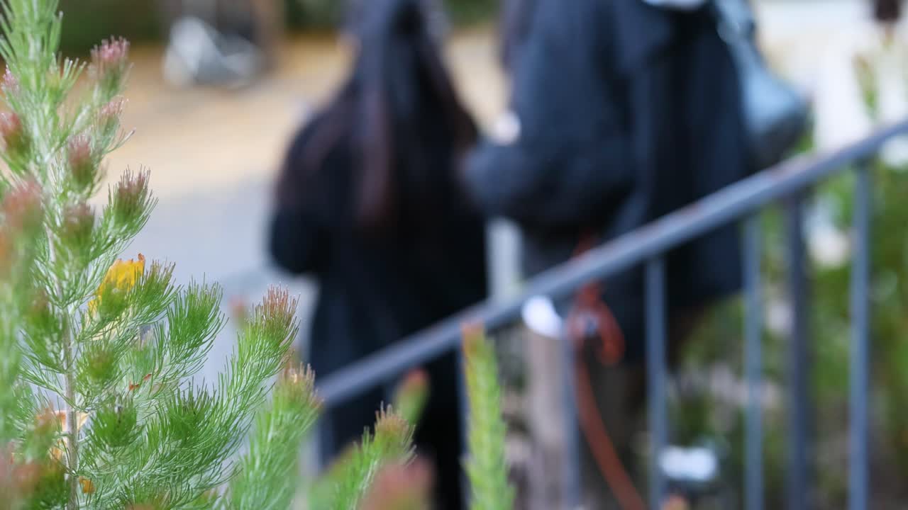 초록색 식물 에서 계단을 내려가는 사람 들