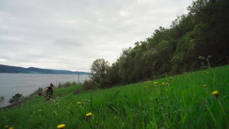 Man-With-Brush-Cutter-Trimming-Grass-On-The-Field-By-The-Shore-Of-Trondheim-Fjord-In-Norway