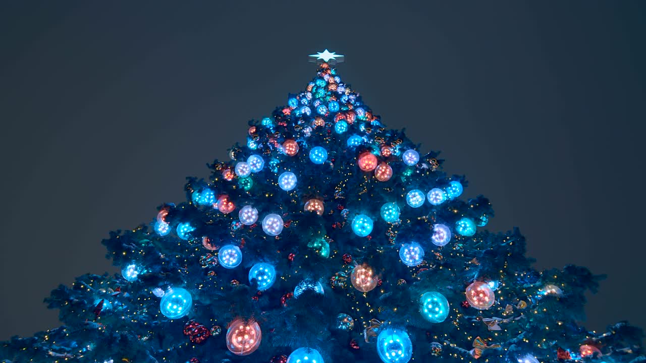 거리에서 다채로운 불빛으로 반이는 큰 새해 나무