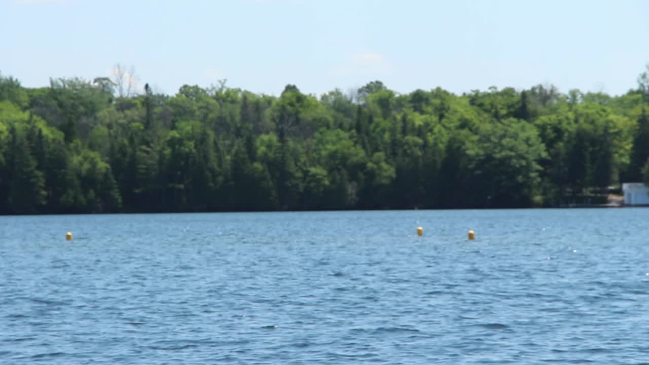 Lush Green Forest Near The Calm Water Of Kawartha Lakes In Ontario, Canada On A Sunny Day. - wide shot