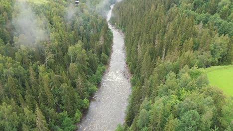 a tranquil river cuts through a dense forest surrounded by lush greenery and gentle mist