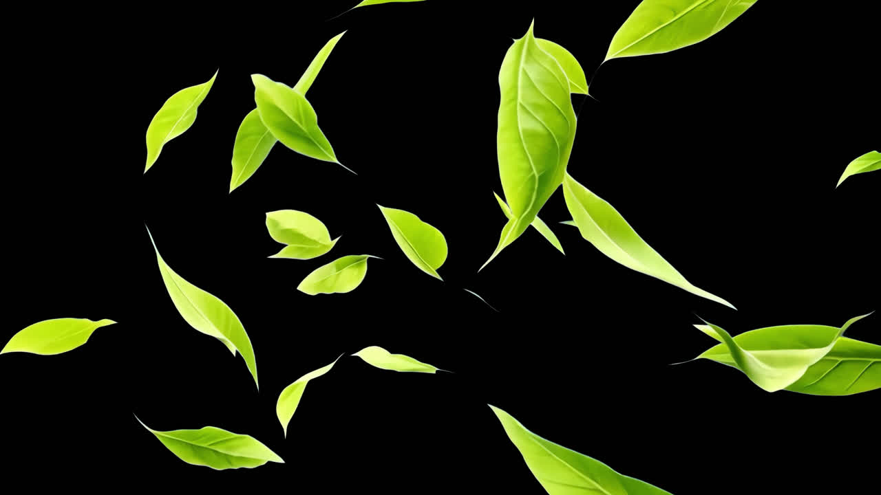 Floating vibrant green leaves background animated overlay, transparent 4K video, alpha channel