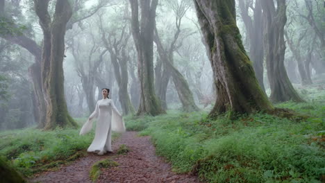 a woman in a white dress walking through a foggy, enchanted forest