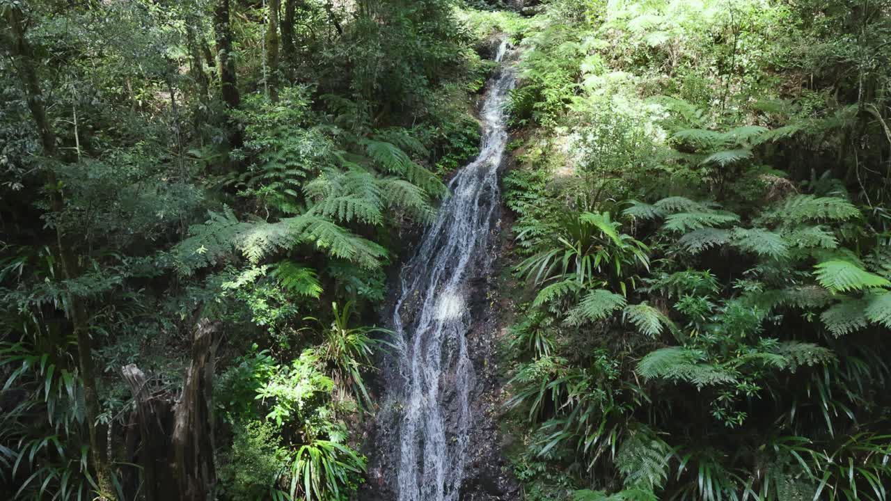 A serene waterfall amidst lush rainforest greenery