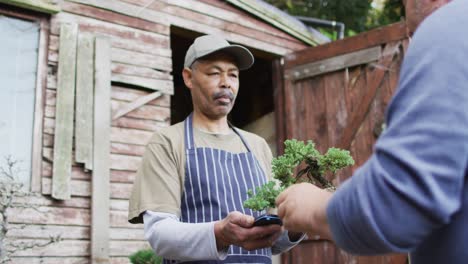 african american male gardener selling plants, using contactless payments at garden center