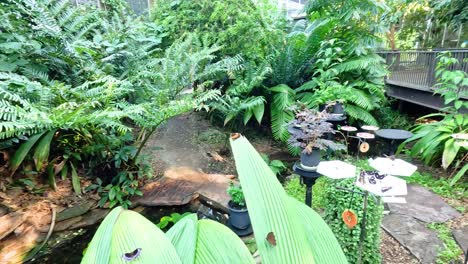 lush greenery with butterflies in a zoo habitat