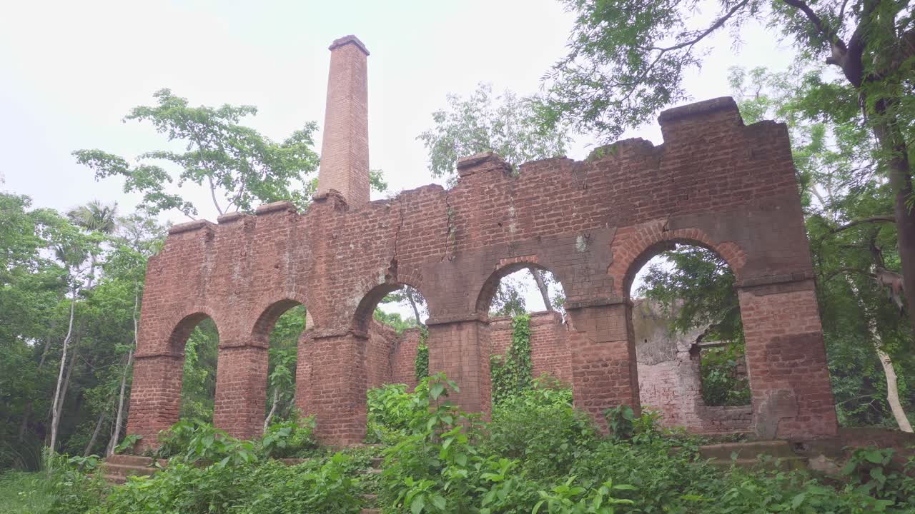 영국 통치 기간 동안 건설 된 니라쿠티 또는 인디고 공장은 오늘날 숲에서  ⁇ 손되고 버려진 상태에 있습니다.