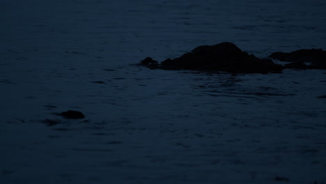 el agua pulsa alrededor de las rocas que sobresalen rompiendo las ondas del viento en la superficie