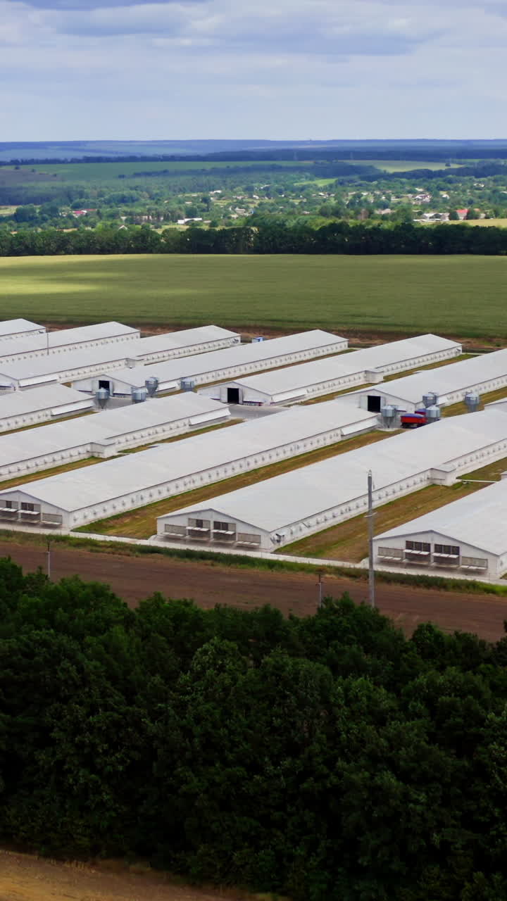 Farm among beautiful green nature. Modern white farm buildings in environment in summer. Agricultural complex on field. Vertical video